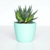 Succulent flowerpot
